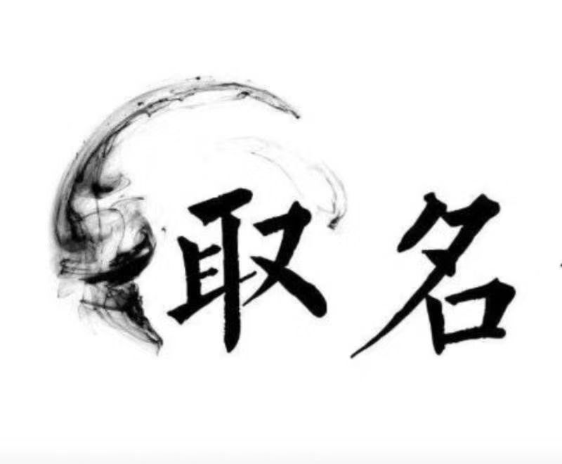  株洲宝宝取名 大师一对一人工起名
