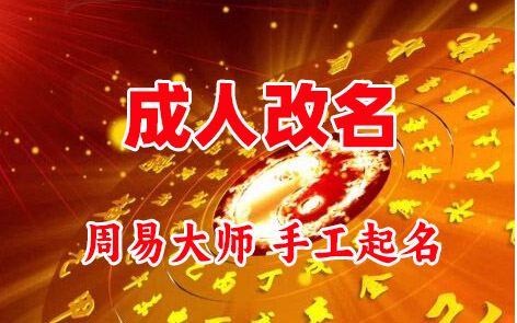 株洲成人改名-找大师一对一改名先分析后改名